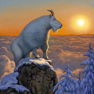 Mountain goat on snowy peak at sunset.