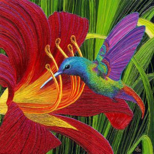 Colorful hummingbird feeding from vibrant red flower.