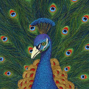 Colorful peacock with detailed feather display.