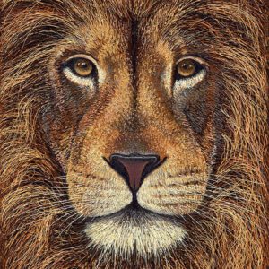 Lion face illustration with detailed fur.
