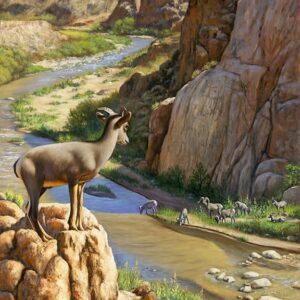 Mountain goat overlooking river and rocky landscape.
