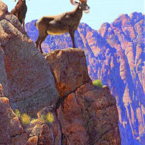Two bighorn sheep on rocky cliff.