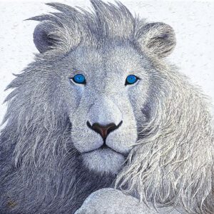 White lion with striking blue eyes.