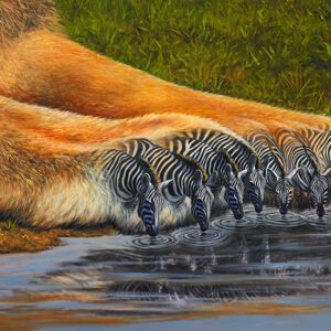 Lion paws transforming into drinking zebras.