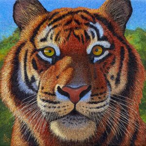 Close-up illustration of a tiger's face.